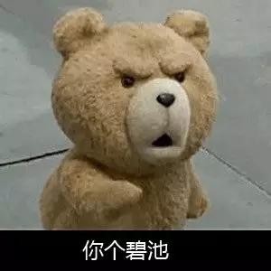 一组熊熊看官,各位卡通请笑纳(表情包胡一天表情图片