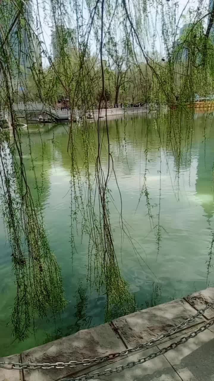 杨柳依依,微风徐徐;淙淙流水,芳草萋萋.