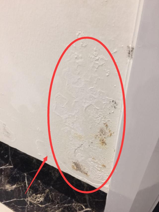山丽防水墙软件