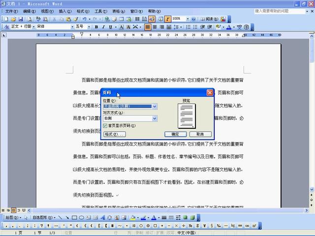 word2003插入页码乱码