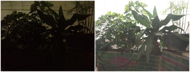 安卓调色温软件哪个好