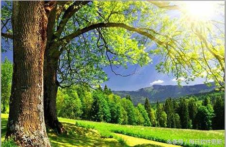 在图片上画框框的软件