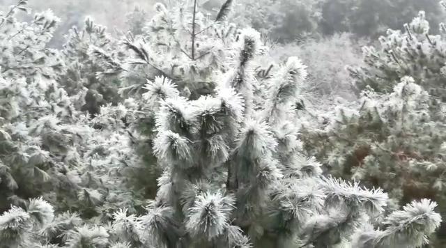 遵义  凤凰山 诗词