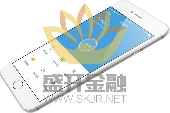 有什么夺宝的软件开发