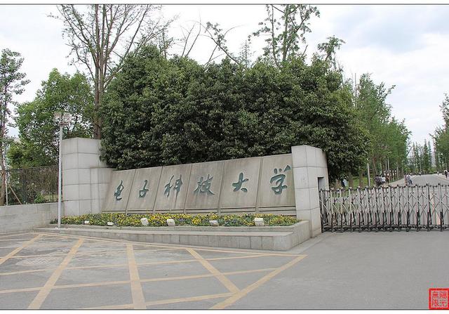 软件工程有哪些职业