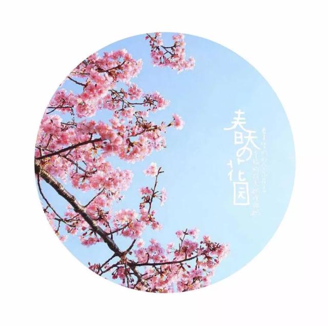 图片加文字安卓软件