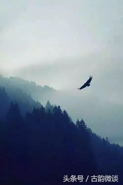 为国捐躯的豪迈句子