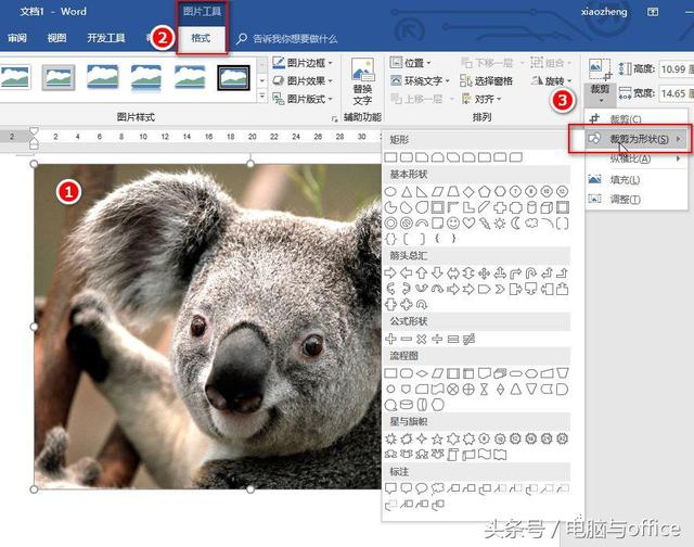 word裁剪为何不能用了