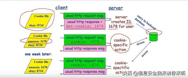 cookies解密软件