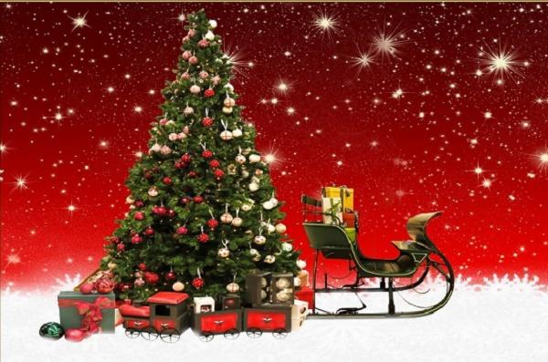 关于关明月的说说