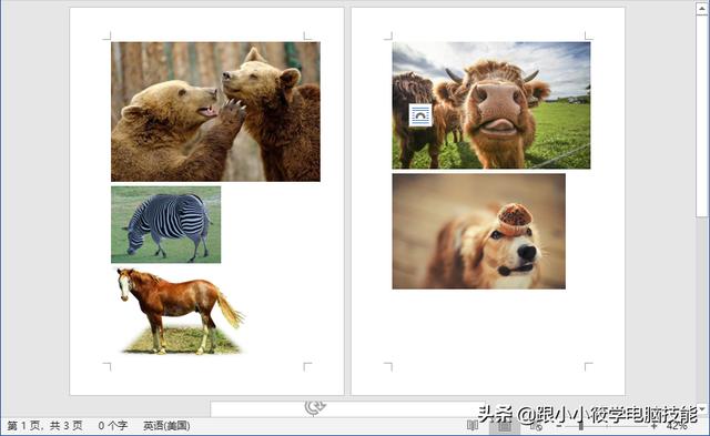 word图片布局 大小