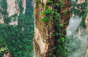 Home Zhang group, the eyeshot in a dream!