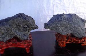 What stone is so precious, strange stone of hand size pig marks a price 80 thousand, have strange ro