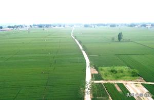 Windmill of millstones alley, vegetable garden, co