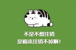 Cannot be the company cancelled? The company cance