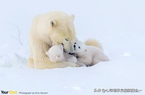 Why short-tempered person is bitter, nature is goo