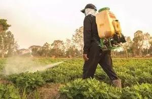 Expire the processing of pesticide, be be used or 