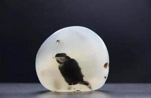 Small gravelstone head sells a day price 3.5 milli