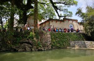 Huang Yaogu presses down half days to swim