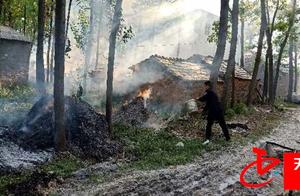 Poplar garrulous ask for trouble! Holiday the foll