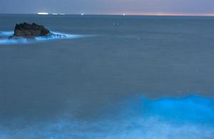 Fujian makes the same score a pool " blue tear "