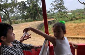 Wang Xiaofei basks in children to be like bud of Y