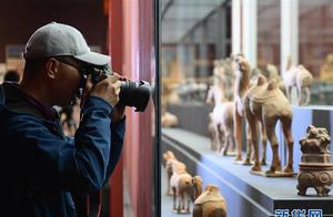 Italy is returned still cultural relic artwork and