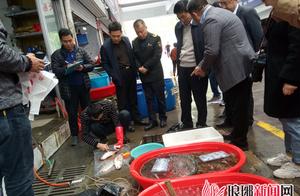 Sampling observation of food of Linyi city class will amount to safeguard food safety this year 20 t