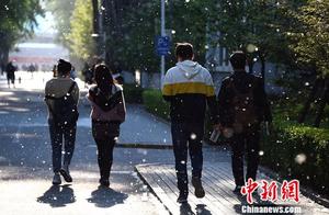 Netizen of all over the sky of much ground flying 