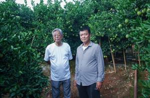 Industry of fruit of family name of Yunnan a surna