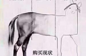 Petty gain and expensive stuff look be like about 