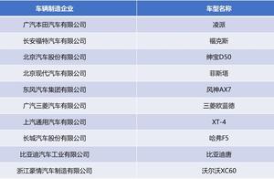 C-IASI 2019 of fierce makings Piao year the first 