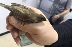 He Zhou " sunny masses " make contributions! 3 m