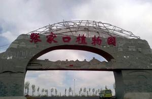 The mouth rectifies Home Zhang rectify and reform 