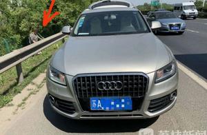 Find both funny and annoying! 