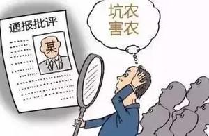 Of the try to palm off sth. inferior to what it pu