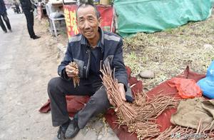 Uncle sells a kind of plant very magical, in mater