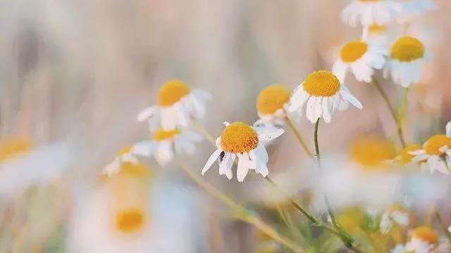 有没有作文里面比较有哲理的句子