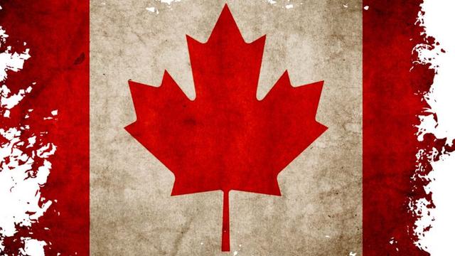 中澳城房價多少