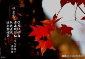描写香山红叶的古诗有哪些？