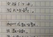 作文小树伴我成长800字