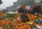 Shocking, guangxi laurel north trades the market a large number of orange side 322 nations line beco