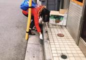 Does Chinese girl collect rubbish in Japan? Stoop waist, those who hold out is Chinese back however