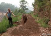 Old person of seventy years of age did not give mountain 8 years, sell a pig to build road of 10 lis