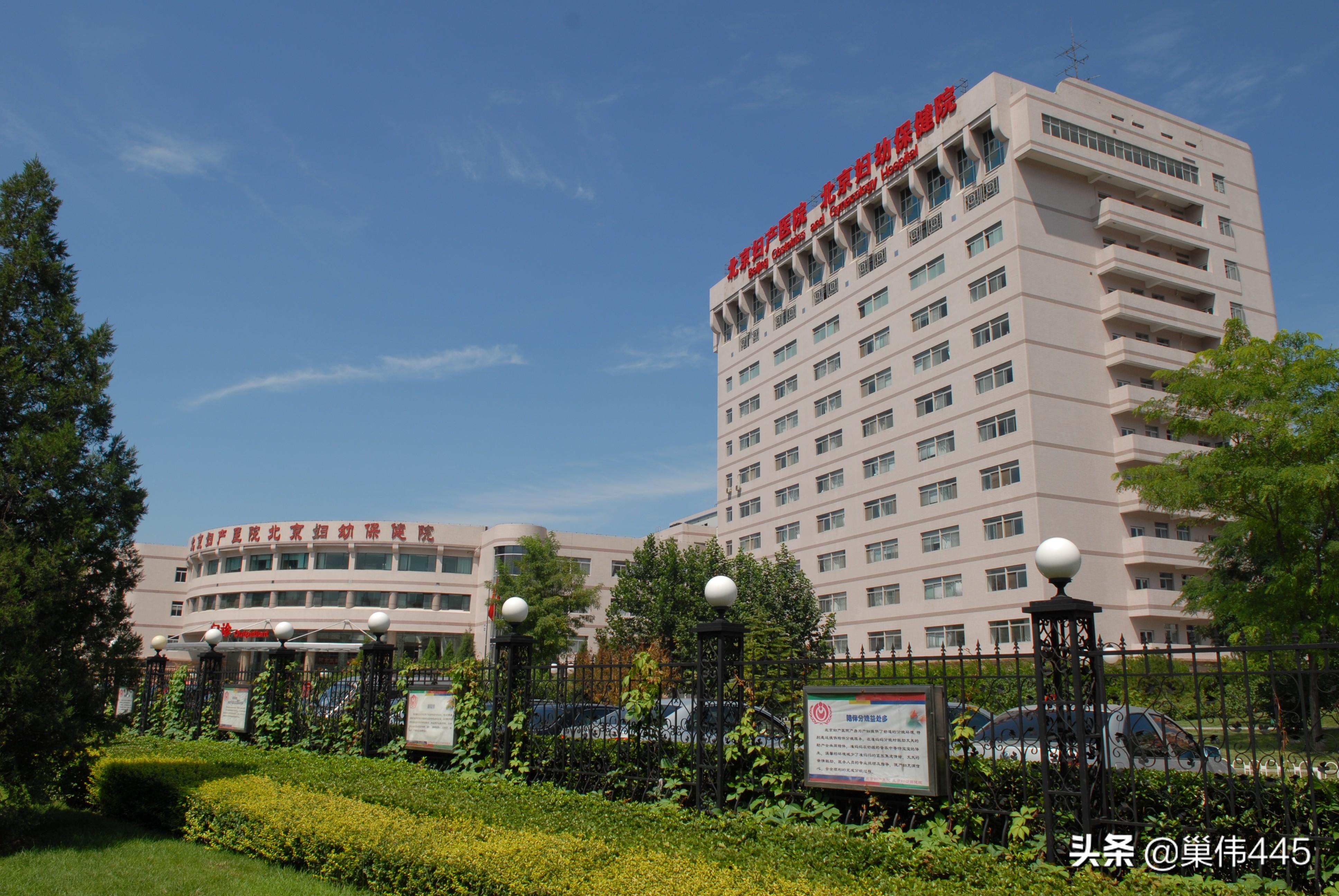 北京妇产医院：守护生命之花的故事