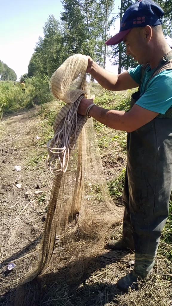 爱织网撒网,任姐