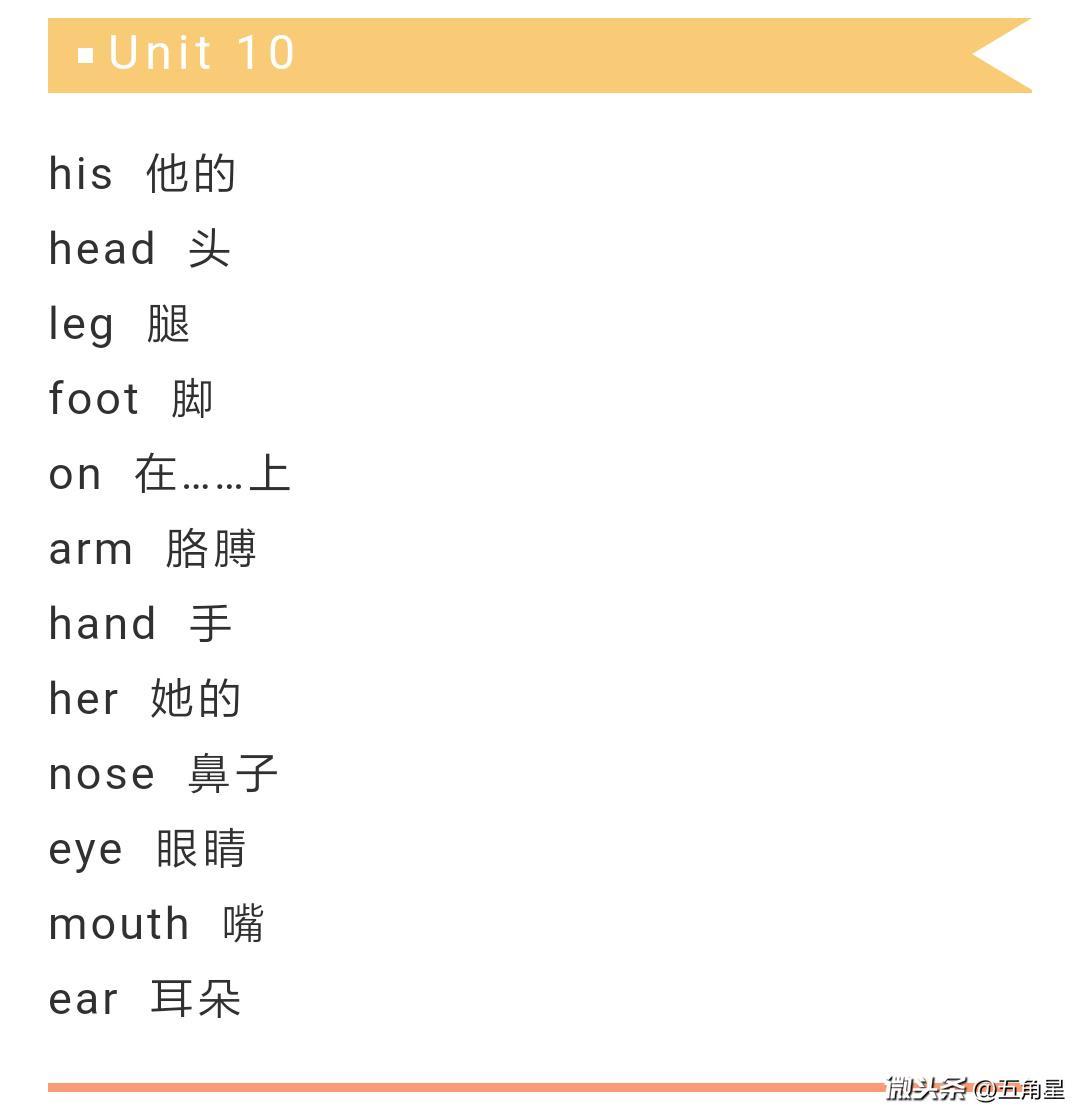 小学英语:外研社新起点,三年级上册单词表 - 今