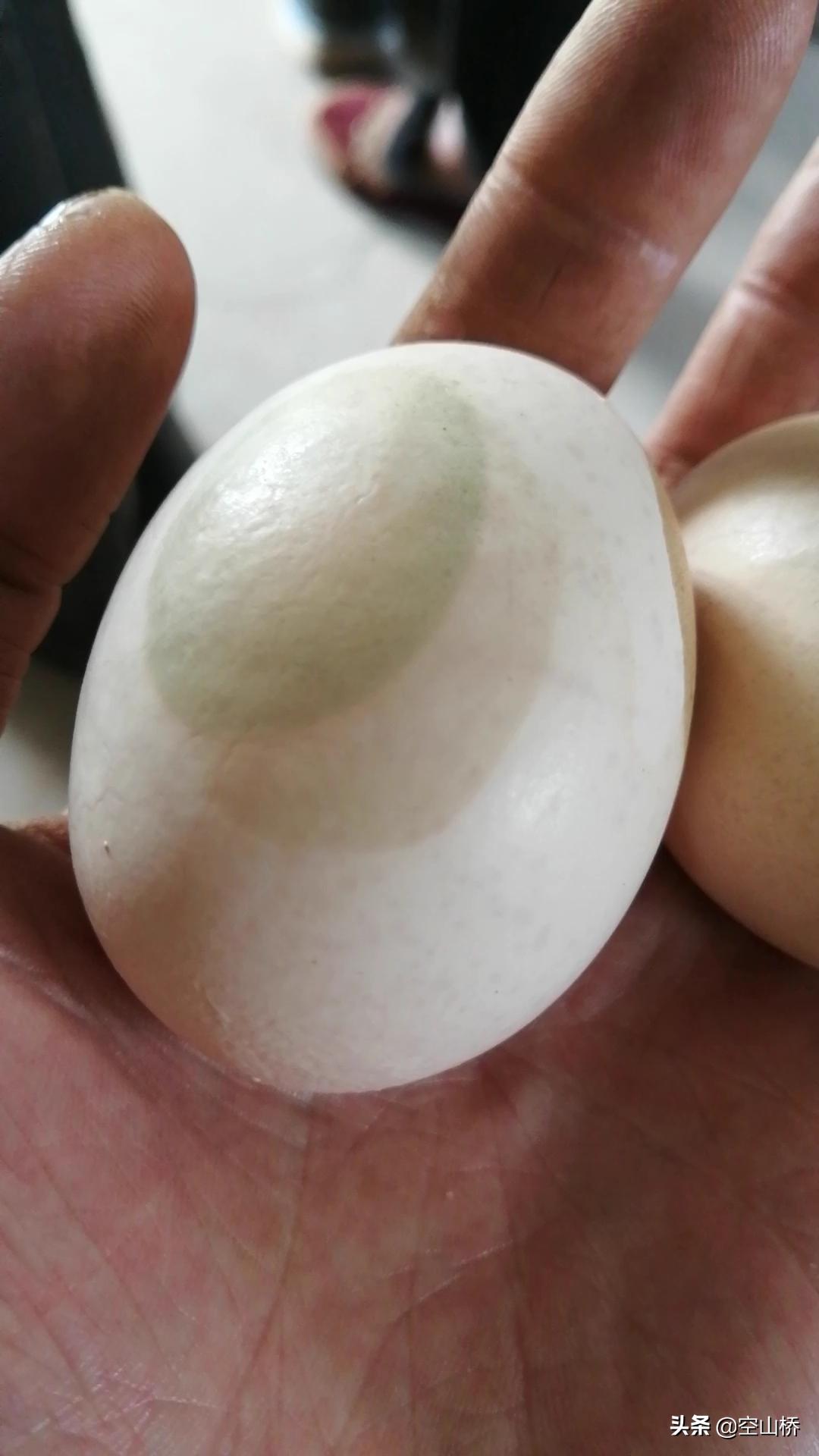 万能的条友们帮忙看看这是不是假鸡蛋,急,在线等.