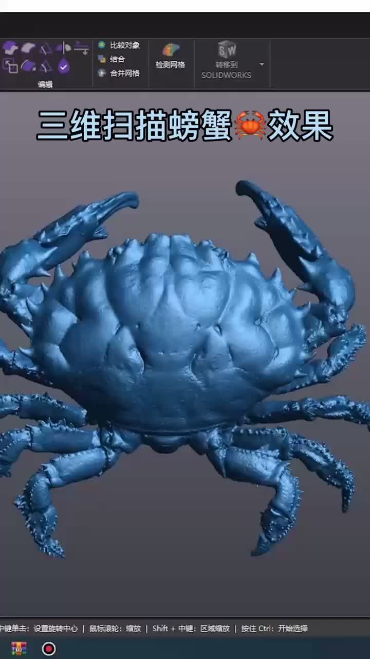 三维扫描的一只性感小螃蟹#三维扫描 #3d建模