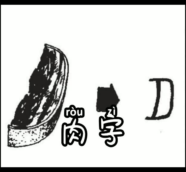 肉字 #肉字来源 #说文解字
